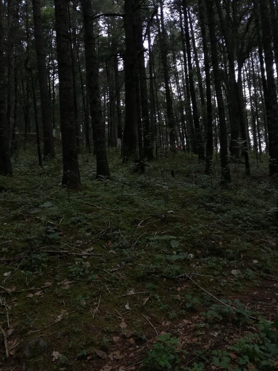 terrenoomitlan2